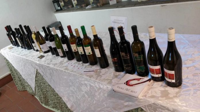 gusto_natale__velletri