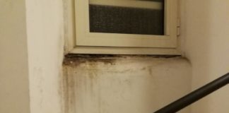 Maltempo a Frascati, allagato stabile comunale allagamento