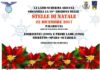 Le Stelle di Natale del Lazio Scherma stelle_natale