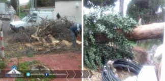 Maltempo, caduto ramo sulla Nettunense astral_ramo_nettunense