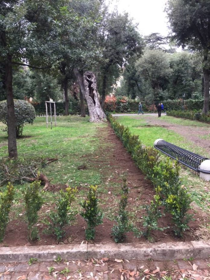 piante_villa_torlonia