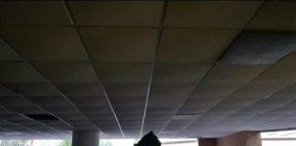 Gli studenti dei Castelli “Basta proclami dal Governo, alla scuola serve continuità” proteste_18_joyce