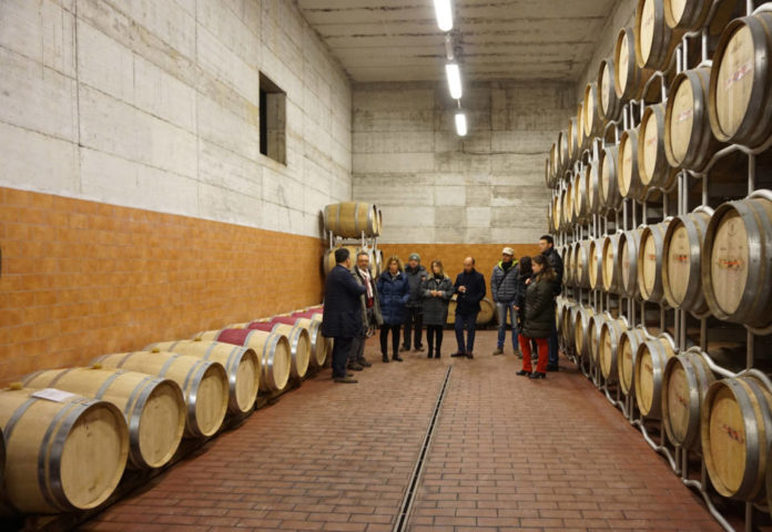 barricaia_castel_de_paolis