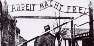 Le celebrazioni della Giornata della Memoria aushwitz