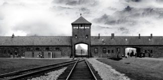 Gli studenti di Albano al Viaggio della Memoria 2018 birkenau