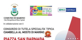 Marino, la Bcc Colli Albani dona 6 defibrillatori al Comune defibrillatori