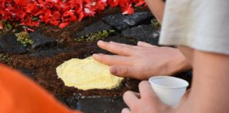 Genzano, scuola De Sanctis aderisce a progetto Unesco infiorata_ragazzi