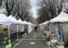Frascati, polemica attorno al mercatino della Passeggiata mercatino_passeggiata