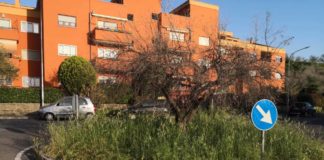 Via Ugo La Malfa, ladri messi in fuga erba_alta_cocciano