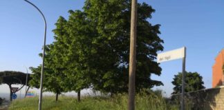 Erba alta a Cocciano, polemica a Frascati erba_alta_cocciano