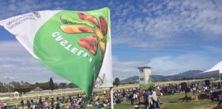 Terra e Musica, primo maggio contadino a Capannelle terra_musica_primo_maggio