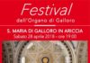 Prima edizione del Festival dell’Organo di Galloro locandina
