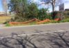 Emergenza fosso a Via Colonnelle di Albano colonnelle