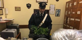 Marito e moglie coltivatori diretti di marijuana droga