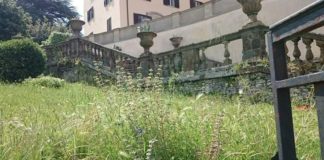 Fiasco presenta mozione sul parco di Villa Torlonia degrado_torlonia