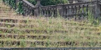 Frascati Futura denuncia degrado Villa Torlonia degrado_torlonia