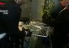 Tivoli, trovate 179 piante di Cannabis Indiana in casa droga_tivoli_carabinieri