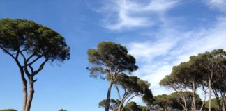 A Castel Fusano l’iniziativa Essere Cuoco 2018 castel_fusano