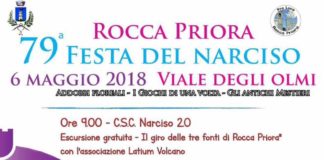 Festa del Narciso di Rocca Priora manifesto