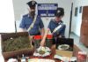 Ostia, individuato market della droga ostia_Carabinieri_droga
