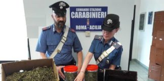Ostia, individuato market della droga ostia_Carabinieri_droga