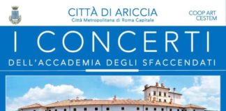 Orchestra d’archi con il Maestro Pezone ad Ariccia pezone_palazzo_chigi