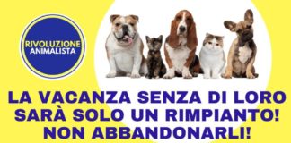 Rivoluzione Animalista dice basta ad animali sgozzati per festa Islam controabbandonoanimali