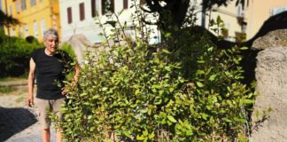 Fontana Vecchia, De Franceschi attacca l’Amministrazione degradofontanavecchia