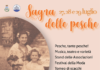 Sagra delle Pesche torna a Castel Gandolfo locandina