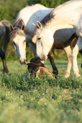 butterocontemporaneo