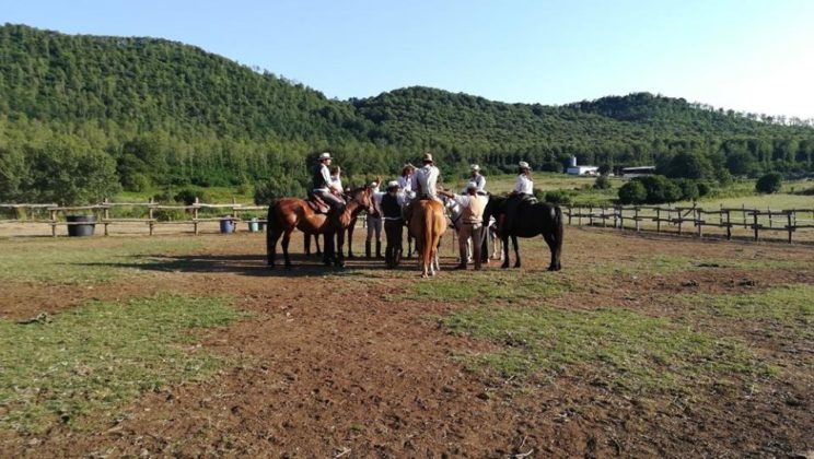 butterocontemporaneo