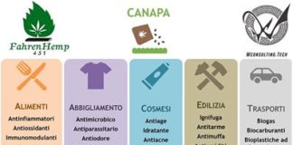 FahrenHemp 451, la riscoperta della canapa ecosostenibile canapa
