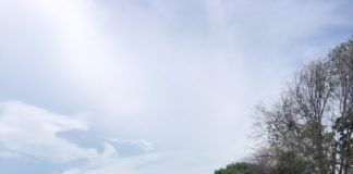 Marino, iniziati i lavori di riqualificazione dell’Appia Antica lavori_appia