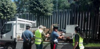 Reati Ambientali, intervento a Tor Bella Monaca mezzo_rifiuti_sequestrato