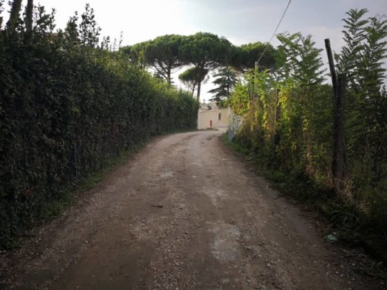 viasantignaziofrascati