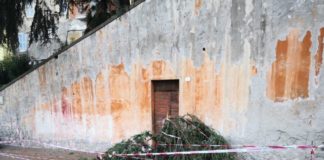 Frascati, due auto danneggiate da un ramo a via Micara ramo_via_micara