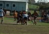 Rugby Frascati Union, ecco organigramma 2018-19 rugbyunionprimasquadra