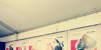 Castelli Romani, al via formazione e scuola training_academy_1