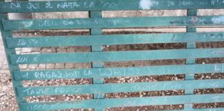 Un cittadino, “cimitero di Frascati, che degrado” cimitero