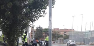 Cocciano, caduto un albero