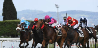 Ippodromo Capannelle apre al Roma Champions Day ippodromocapannelle