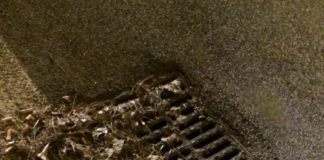 A Marino arriva la pioggia ma le caditoie sono otturate pioggiamarino