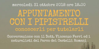 Parco Castelli, appuntamento con i pipistrelli pipistrelli