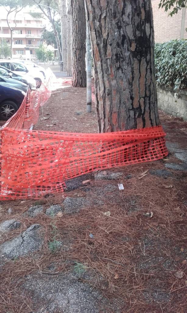 quartiere_giuliano_dalmata