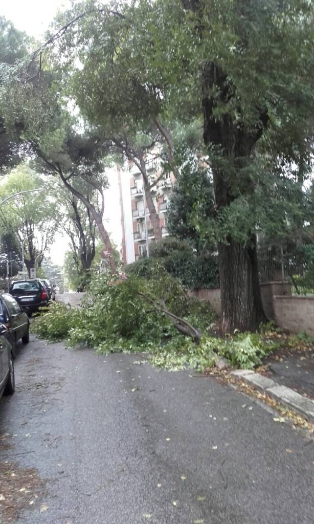 quartiere_giuliano_dalmata