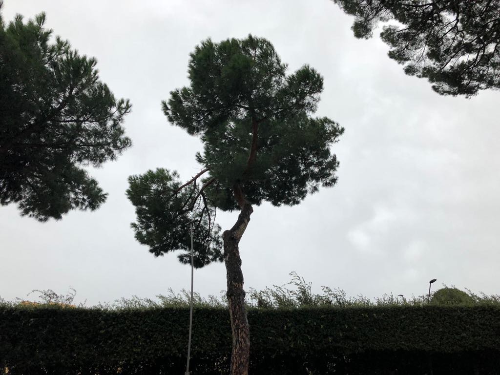 maltempo_frascati