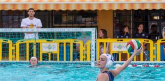 F&D H2O Velletri, Bagaglini “Vogliamo restare in A1” bagaglini