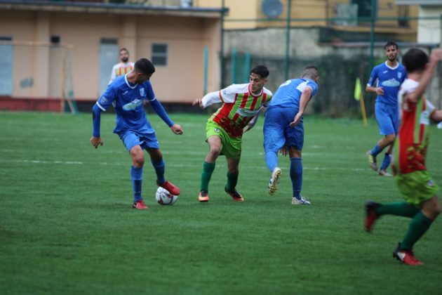 vis_artena_albalonga