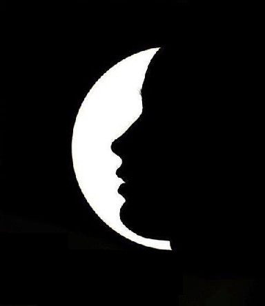 immagine art. 2 donna