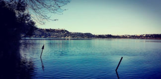 Parco Castelli, passeggiata panoramica al Lago Albano lagoalbano